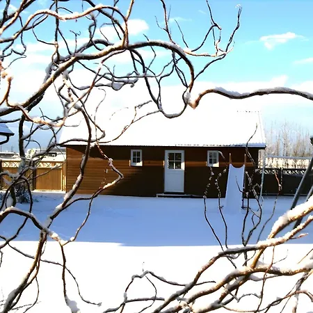 Klaus Jensen , Unter Den Linden *