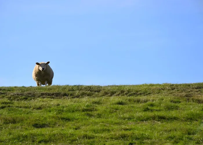 Klaus Jensen , Unter Den Linden Lägenhet Pellworm