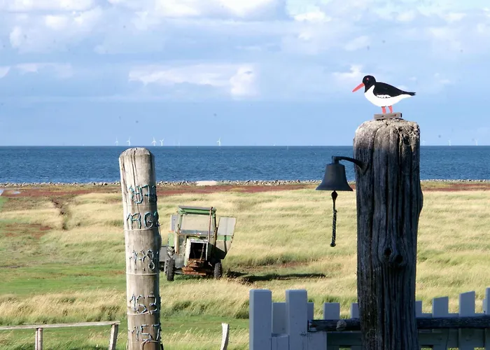 Lägenhet Klaus Jensen , Unter Den Linden
